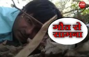 naxal