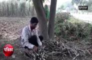 Bulandshahr