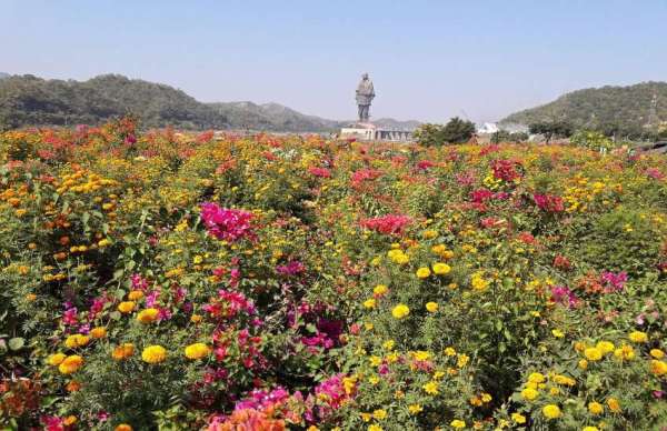 Vally of flower 