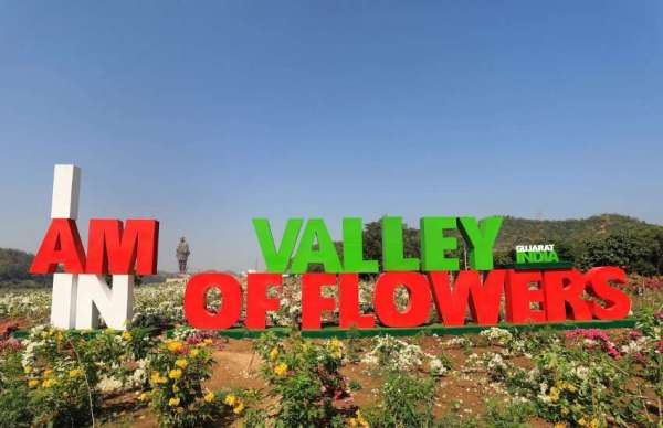 Vally of flower 