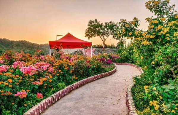 Vally of flower 