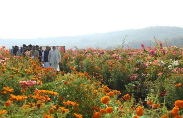 Narendra modi visit vally of flower