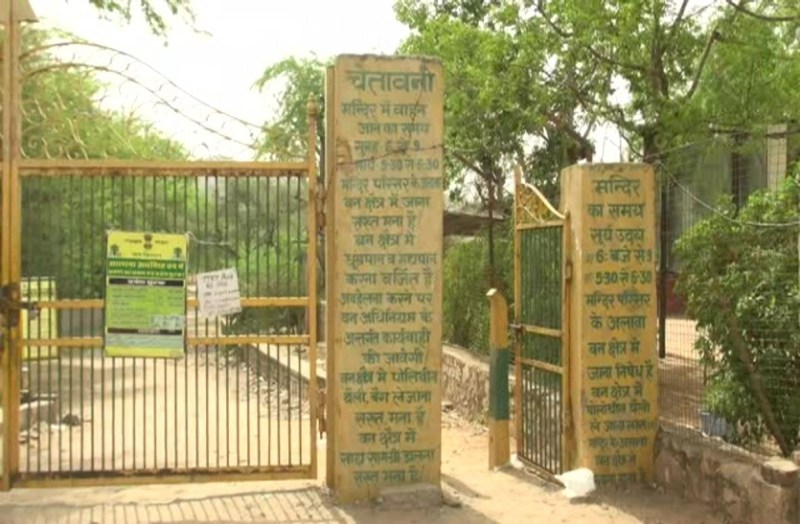 Plastic in the forest area