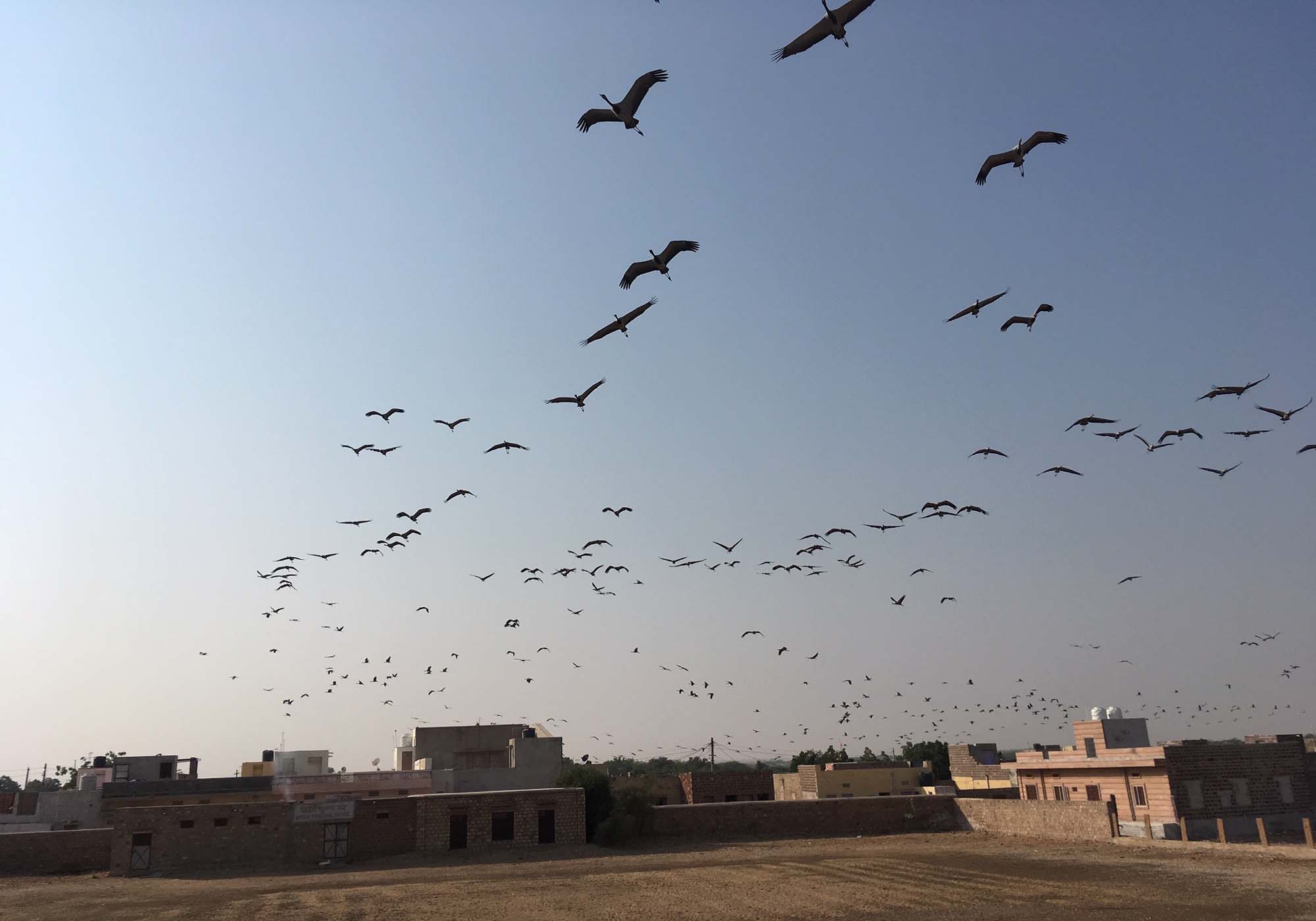 Firecrackers blasts in Kurjans areas