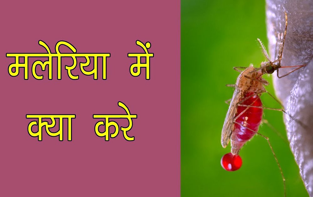 falciparum malaria treatment in hindi