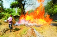 लगी आग को बुझाते ग्रामीण