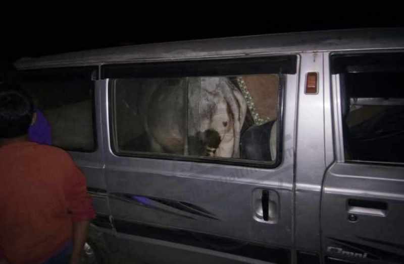 Now Van cow trafficking in bhilwara
