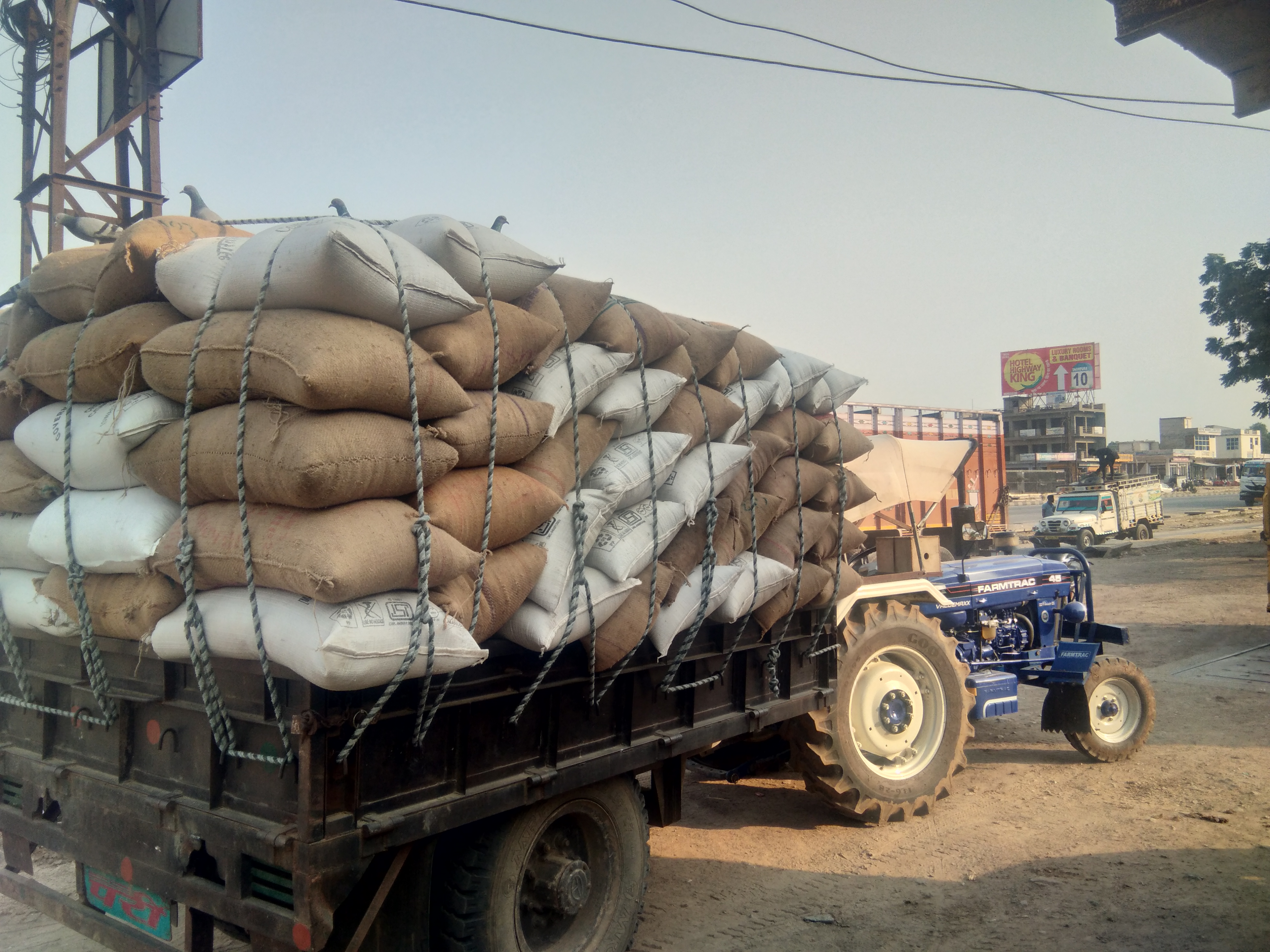 पावटा से हरियाणा जा रहा बाजरा, व्यापारी कूट रहे चांदी