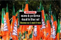 MP election 2018 bjp canceled tickets many famous leaders