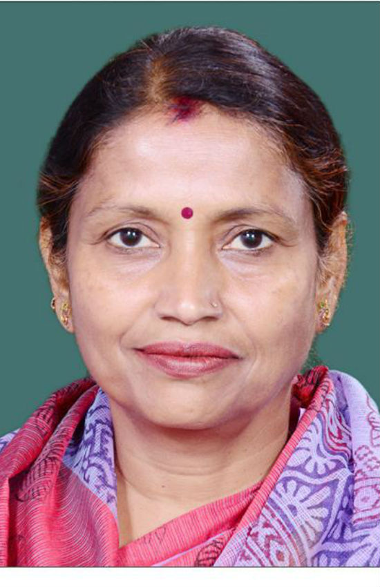 Krishna Raj