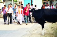 Arun Chaturvedi