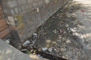 Health Department: Fogging plan in paper, mosquito outbreak in city