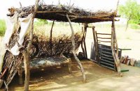 Parents blind, son mentally weak