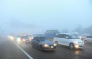 car drive in fog