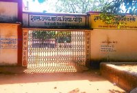 46 booths, tree climb out of mobile connectivity