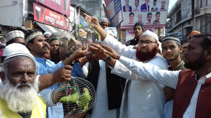 100 Birds get freedom in kul shareef of ala hazrat