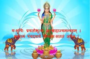Mohammed Shakeel makes Lakshmi's indulgence