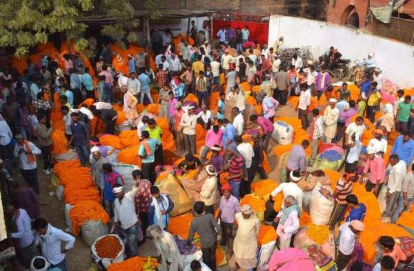 धनतेरस के मौके पर फूल मंडी में फूल खरीदते लोग