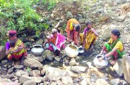 villagers 