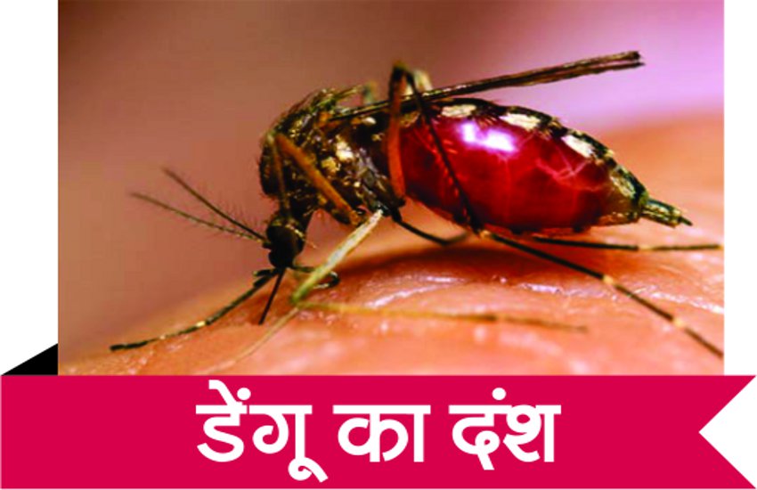 Malaria Department taking light on alert about dengue
