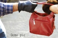 runaway-bike-snatching-a-bag-full-of-money