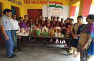 government school