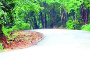 shiradi ghat