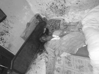 husband kill his wife in satna madhya pradesh