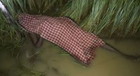 खेत में मिला ग्रामीण का शव, ढूंढऩे गए बच्चे लाश देखकर भागे, गांव में फैली सनसनी