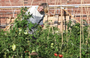 gardening