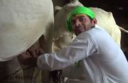 tej pratap