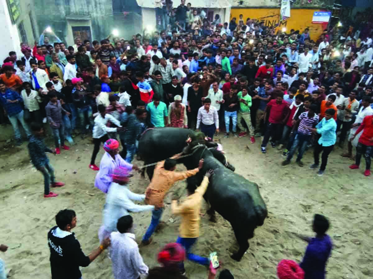 Rajsamand news,Rajsamand Hindi news,Rajsamand local news,rajsamand latest news,rajsamand latest news in hindi,