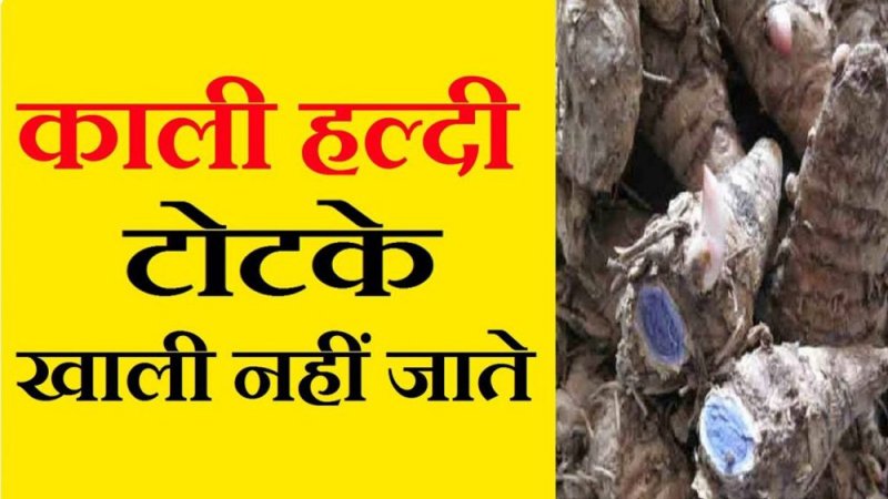kali haldi ke achuk totke: kali haldi se vashikaran in hindi