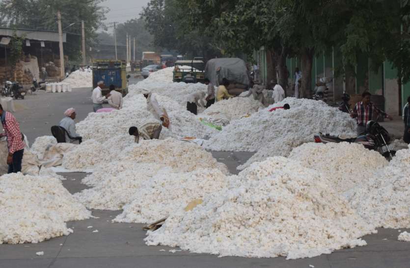Alwar Cotton Demand In China And Several Countries