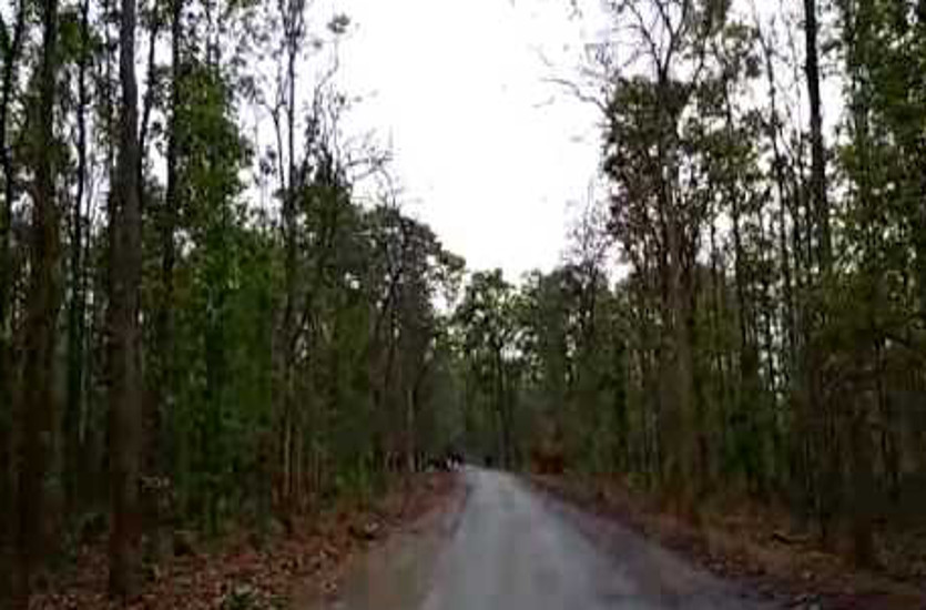 छात्रा व उसके दोस्त से जंगल में रोककर मारपीट व लूट