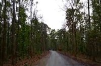 छात्रा व उसके दोस्त से जंगल में रोककर मारपीट व लूट