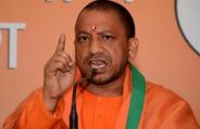 yogi