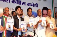 congress menifesto