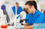 lab