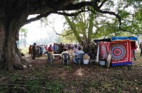 chhattisgarh election