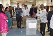 Postal voting