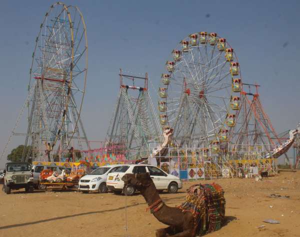 Preparations for International Pushkar Animal FairPreparations for International Pushkar Animal Fair