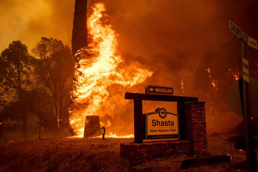 Donald trump declares california fire a national disaster as 44 killed