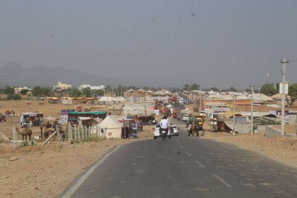 Preparations for International Pushkar Animal Fair