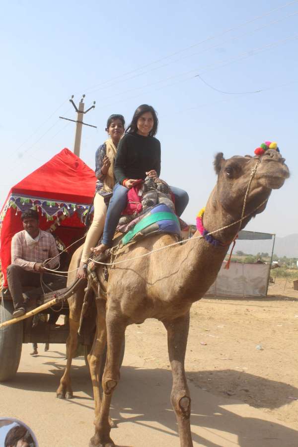 Preparations for International Pushkar Animal Fair