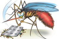 moquito attack in bhilwara