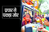 mp election Publicity