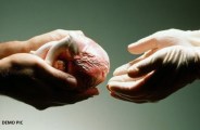 brain dead person give his organs to 5 people