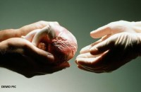 brain dead person give his organs to 5 people