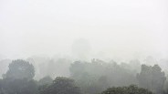 Kanpur